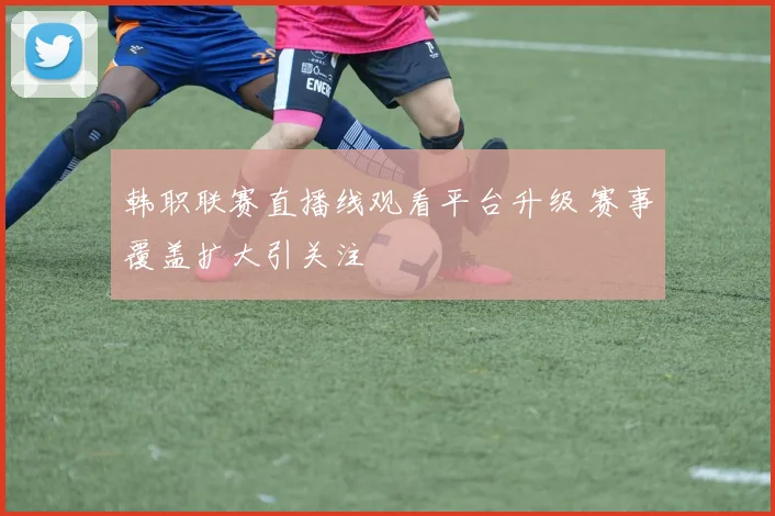 韩职联赛直播线观看平台升级 赛事覆盖扩大引关注