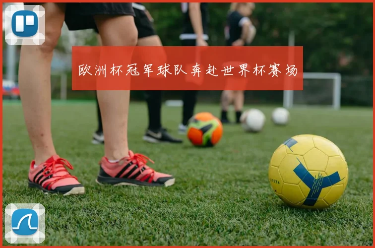 欧洲杯冠军球队奔赴世界杯赛场